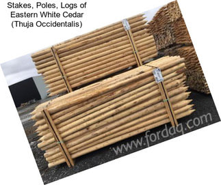 Stakes, Poles, Logs of Eastern White Cedar (Thuja Occidentalis)