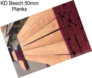 KD Beech 50mm Planks