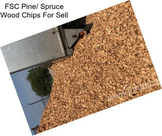 FSC Pine/ Spruce Wood Chips For Sell