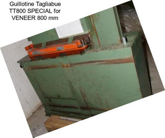 Guillotine Tagliabue TT800 SPECIAL for VENEER 800 mm