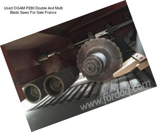 Used OGAM P280 Double And Multi Blade Saws For Sale France