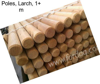 Poles, Larch, 1+ m