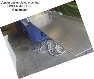 Veneer packs gluing machine FISHER+RUCKLE Gluemaster