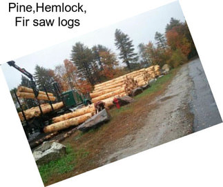 Pine,Hemlock, Fir saw logs