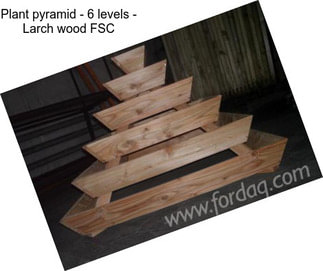 Plant pyramid - 6 levels - Larch wood FSC