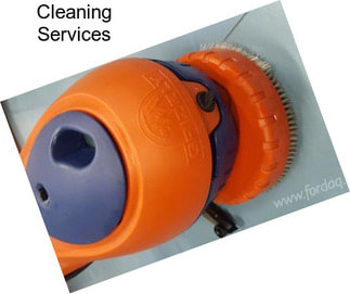 Cleaning Services