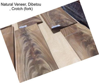 Natural Veneer, Dibetou , Crotch (fork)