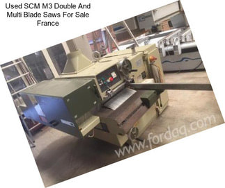 Used SCM M3 Double And Multi Blade Saws For Sale France