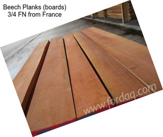 Beech Planks (boards) 3/4 FN from France