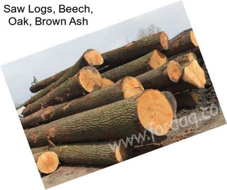 Saw Logs, Beech, Oak, Brown Ash