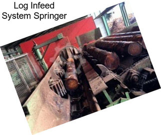 Log Infeed System Springer