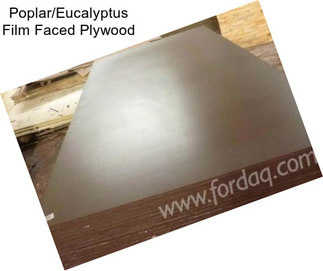 Poplar/Eucalyptus Film Faced Plywood