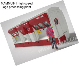 MAMMUT-1 high speed logs processing plant