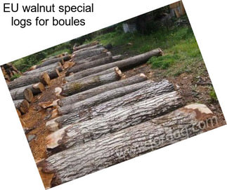 EU walnut special logs for boules