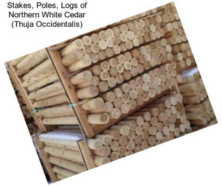 Stakes, Poles, Logs of Northern White Cedar (Thuja Occidentalis)