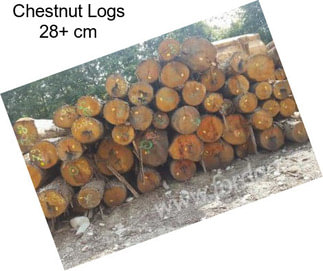 Chestnut Logs 28+ cm