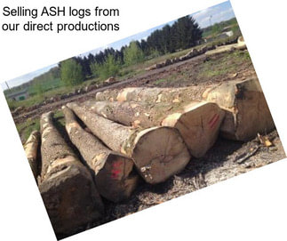 Selling ASH logs from our direct productions
