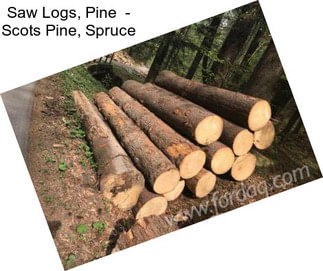 Saw Logs, Pine  - Scots Pine, Spruce