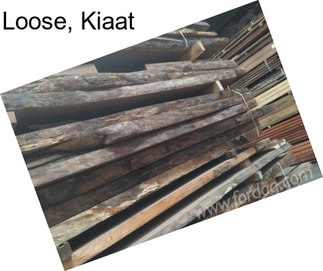 Loose, Kiaat