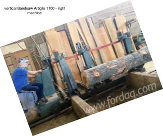 Vertical Bandsaw Artiglio 1100 - right machine