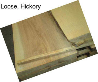 Loose, Hickory