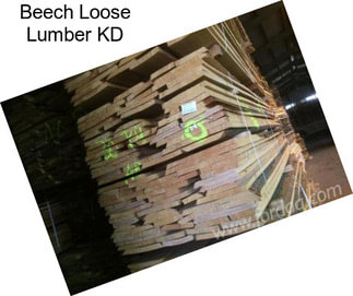 Beech Loose Lumber KD