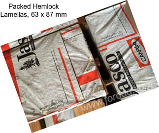 Packed Hemlock Lamellas, 63 x 87 mm