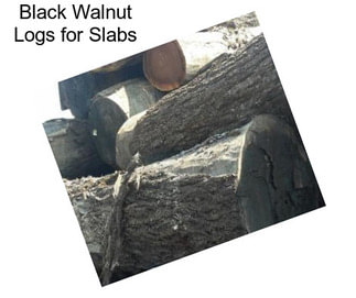 Black Walnut Logs for Slabs