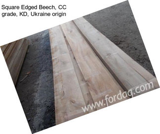 Square Edged Beech, CC grade, KD, Ukraine origin