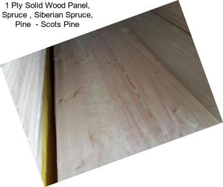 1 Ply Solid Wood Panel, Spruce , Siberian Spruce, Pine  - Scots Pine