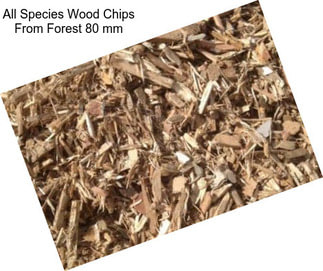 All Species Wood Chips From Forest 80 mm