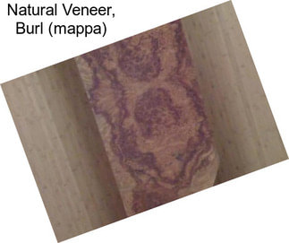 Natural Veneer, Burl (mappa)