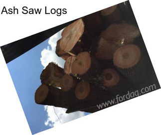 Ash Saw Logs