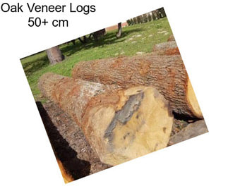 Oak Veneer Logs 50+ cm