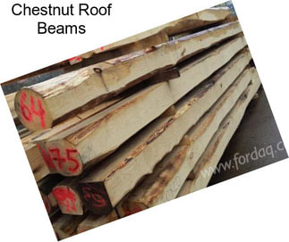 Chestnut Roof Beams