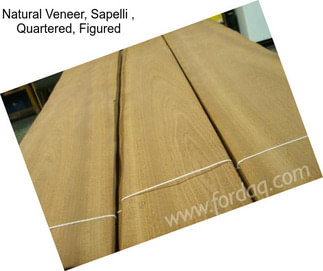 Natural Veneer, Sapelli , Quartered, Figured