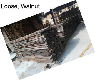 Loose, Walnut