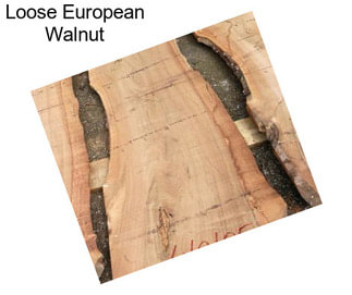 Loose European Walnut