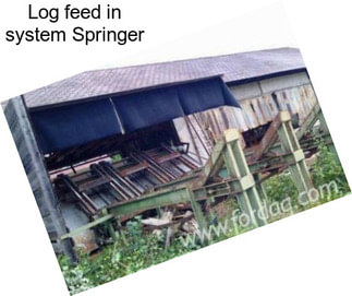 Log feed in system Springer