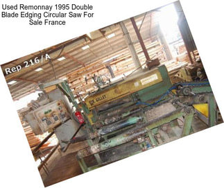 Used Remonnay 1995 Double Blade Edging Circular Saw For Sale France