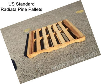 US Standard Radiata Pine Pallets