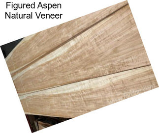 Figured Aspen Natural Veneer