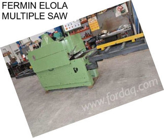 FERMIN ELOLA MULTIPLE SAW