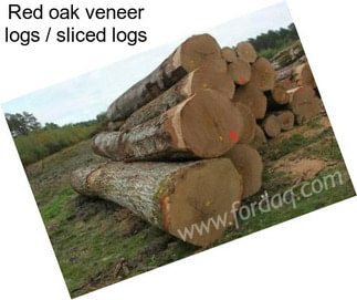 Red oak veneer logs / sliced logs