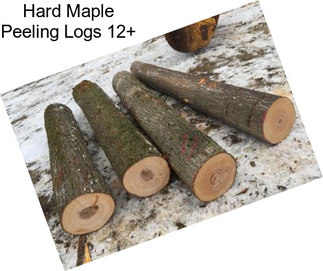 Hard Maple Peeling Logs 12\