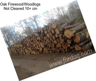 Oak Firewood/Woodlogs Not Cleaved 10+ cm