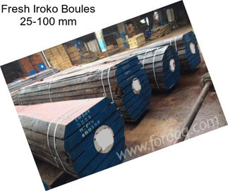 Fresh Iroko Boules 25-100 mm