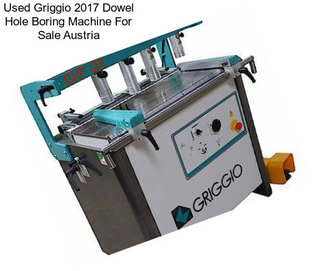 Used Griggio 2017 Dowel Hole Boring Machine For Sale Austria