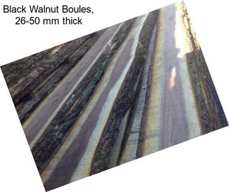 Black Walnut Boules, 26-50 mm thick