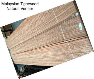 Malaysian Tigerwood Natural Veneer